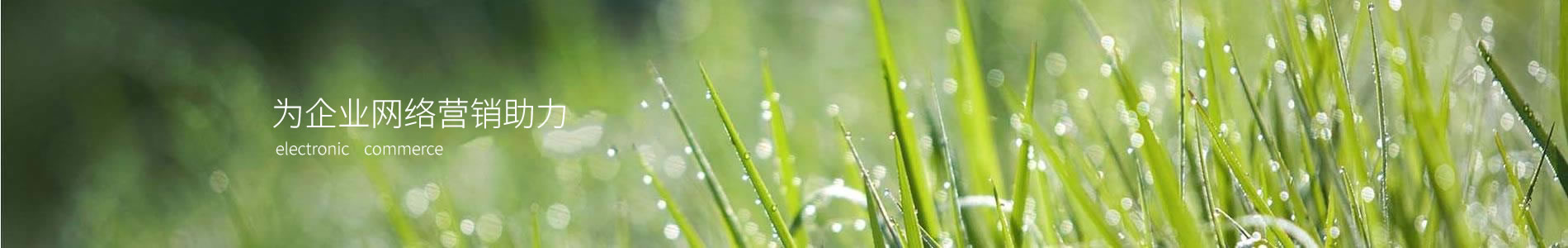 ӱʢҵ޹˾